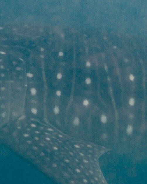 163e5b1c-f782-4eba-b06f-1531d14d7904