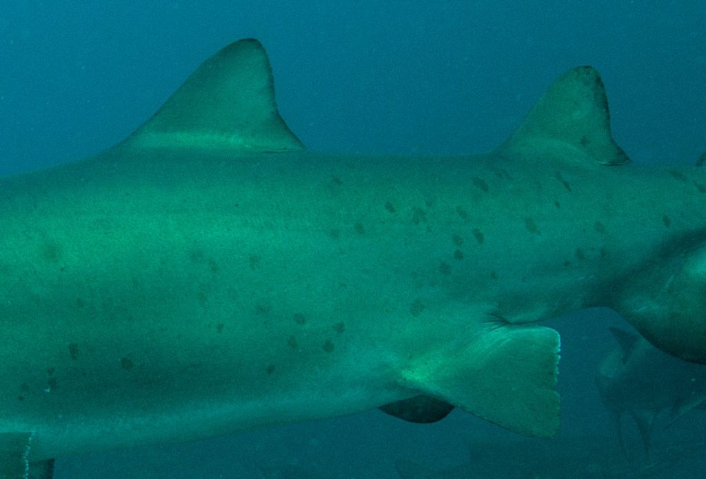 a1992de2-00db-42ad-87e6-611376589d0e