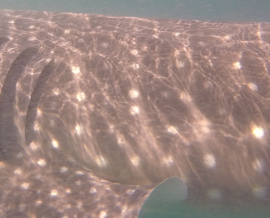 a499d84f-684a-4416-905d-570d0d1267f9