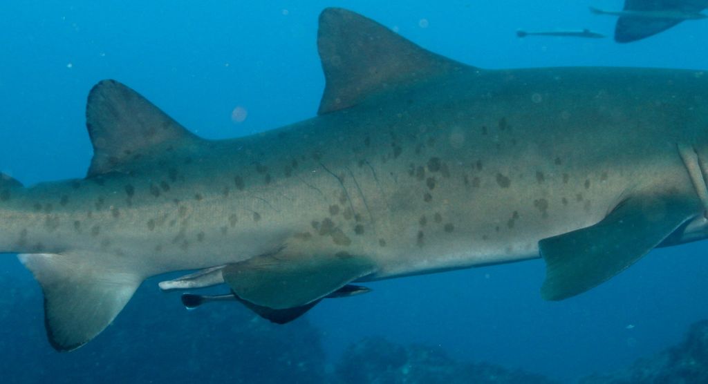 c6d18f4a-726d-4eda-855d-7944fdcec7c8