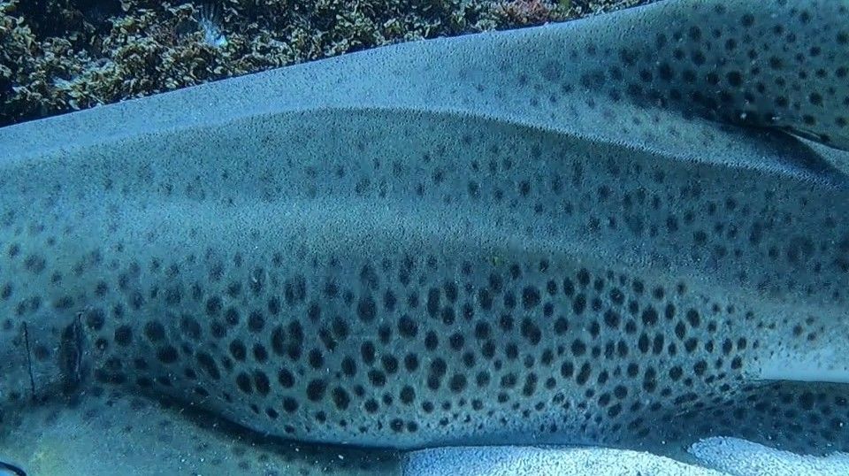 1d4ba718-9366-4672-a48a-337b716a47ca