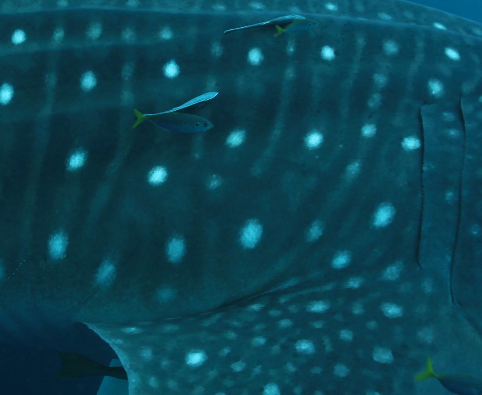 b3db7ffb-210a-4501-a588-75bc9ba151d1