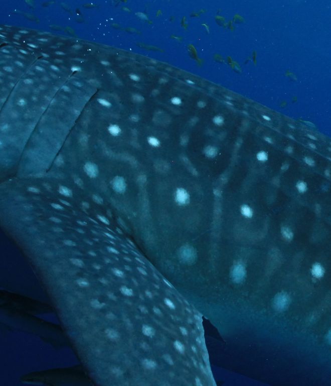 b3db7ffb-210a-4501-a588-75bc9ba151d1