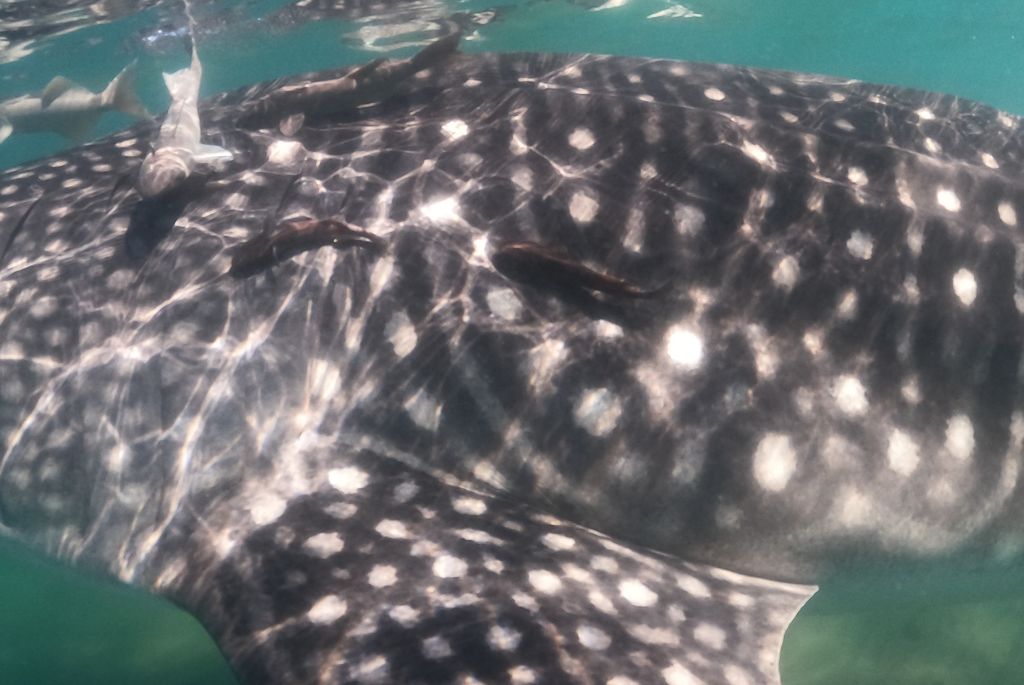 84cd72fd-c582-4314-b736-45d936f0c7a5