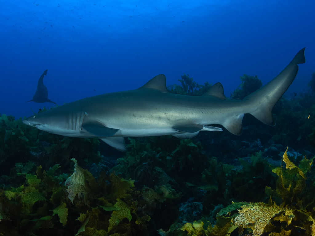 e5ec4291-d2fb-4db8-a5c8-38730c2f50d1