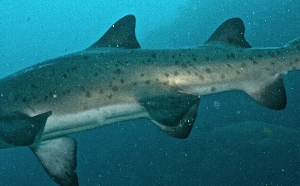 335195e6-0a04-48f4-935a-3f905c11d0e6