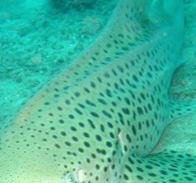 8f9f4994-cf06-413b-aa89-3b5e62fc5a8d