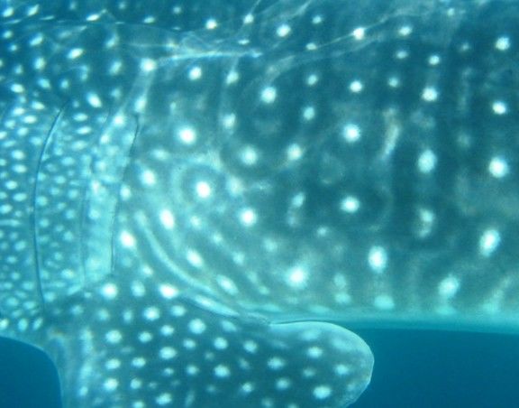 2b7c3f33-15e9-441d-8881-ca1ee40c06fd