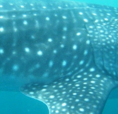 2b7c3f33-15e9-441d-8881-ca1ee40c06fd