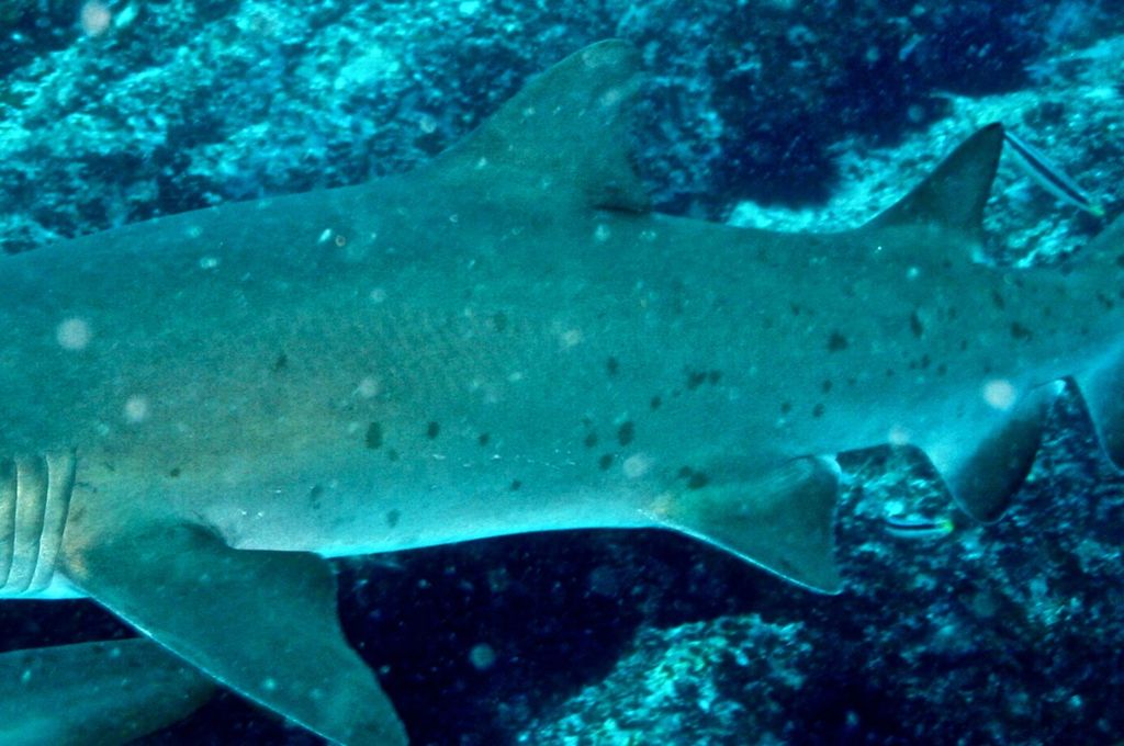 9b04dea8-9c50-4c09-b460-1ecb760cd504