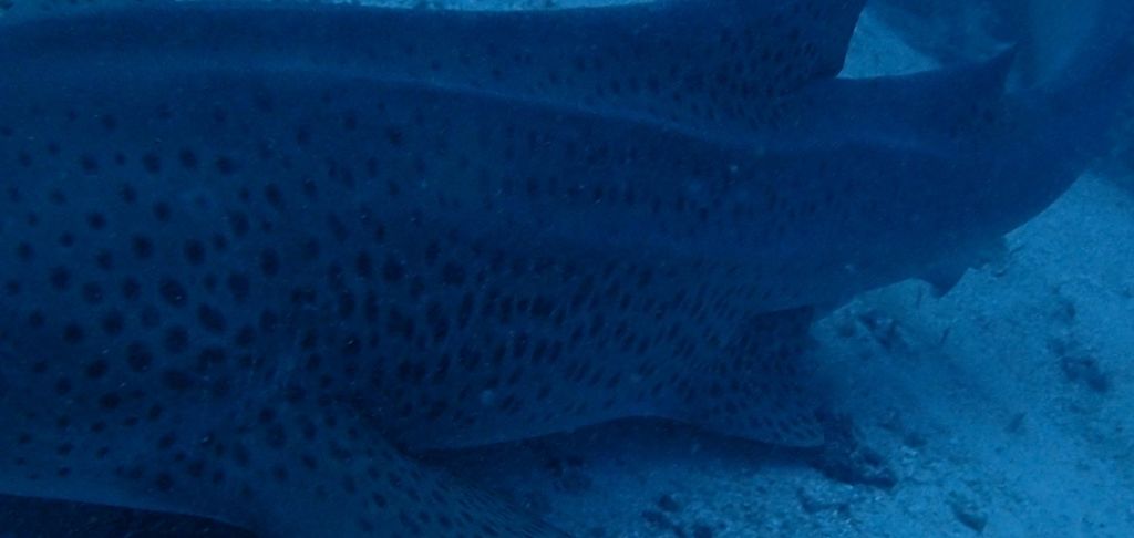 437aa328-2489-4d10-ba15-3eb7418ad408