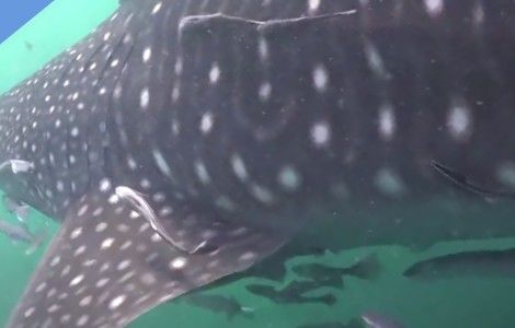 2a481f6f-795f-4bad-a53a-66e3bdad6a72