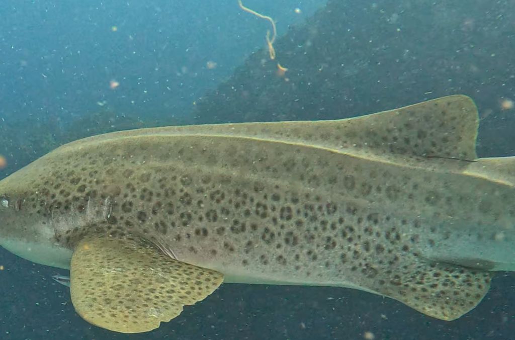 91d8c63d-643f-4e25-93c9-c8615568076d