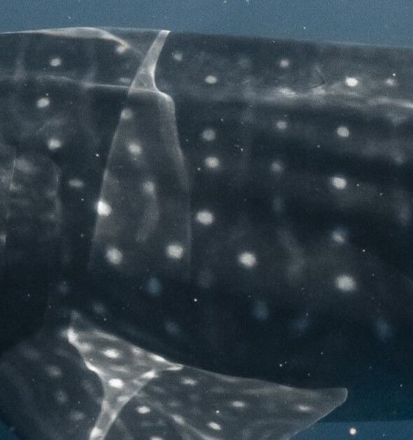 f1384e8e-4a1d-4a9f-809c-2330ad0e13c1