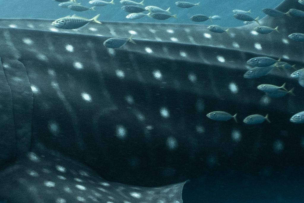 65734807-5c18-47d1-8cfa-165c4f496406