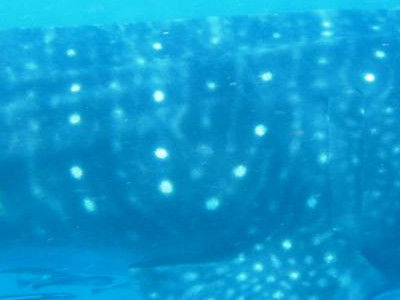 c68cad80-fe81-4965-8223-e7c242f6e5eb