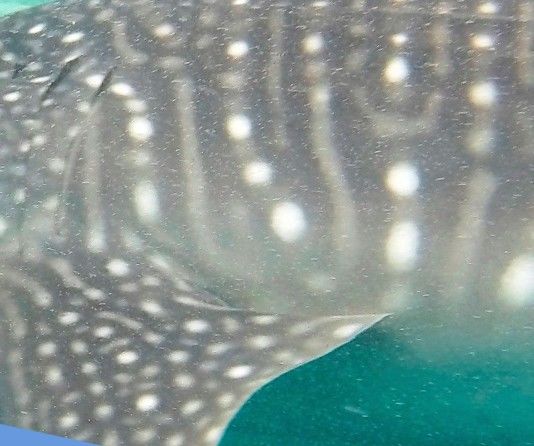 dbfc0907-1be3-4aeb-851b-49c5688b9e5a