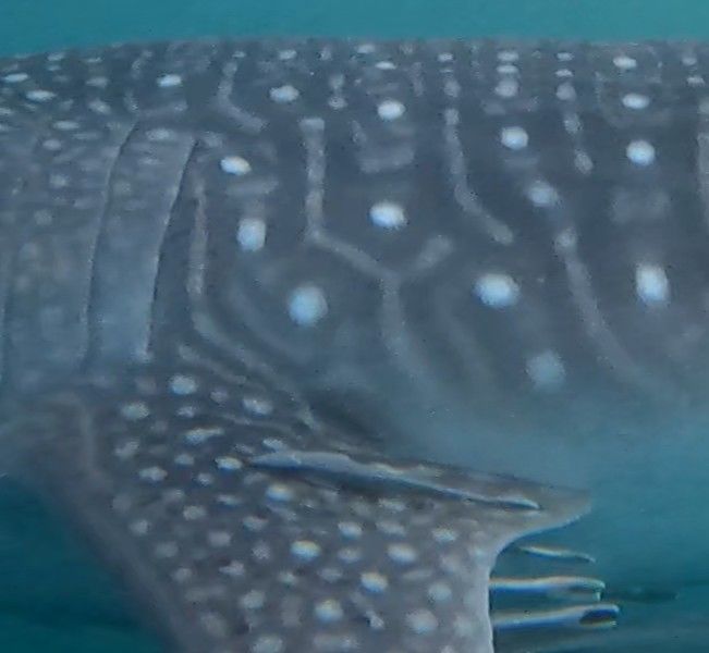 b6bfb35e-4324-47a8-828e-5e355c596cf2