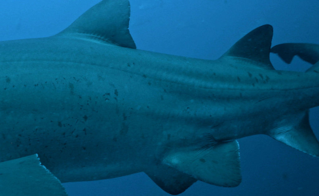 85e6990d-3288-461d-9f72-aff44c97d278