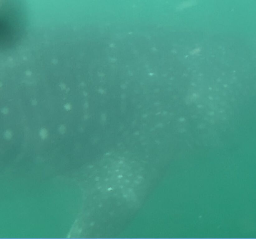 cee208f9-1cd5-4dec-a62c-f809b08fb807