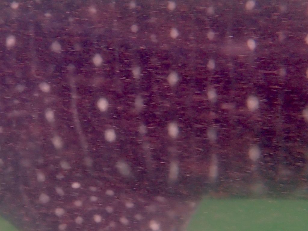 7f30ebd2-b887-4b92-93f7-3b0fa1dc52cc