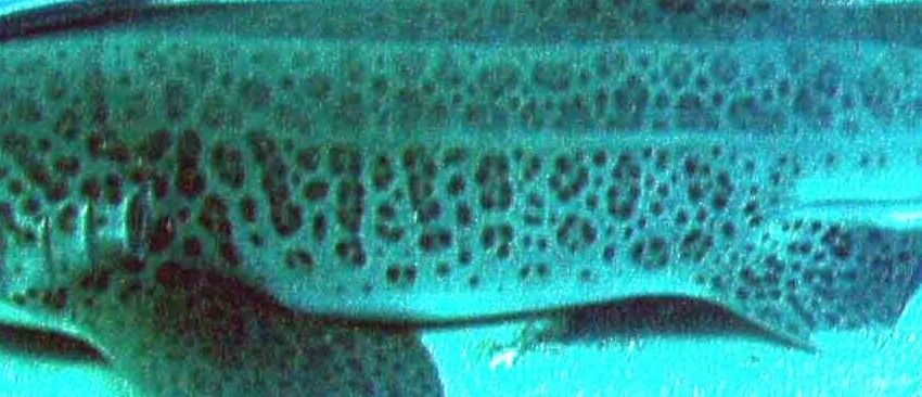 7d5f7372-9509-4666-a803-a843d5e0b0bc