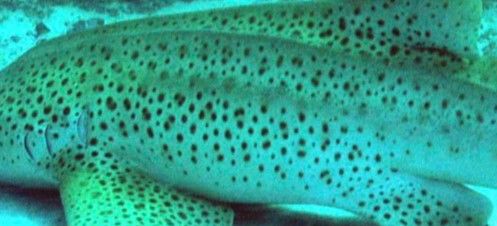 312957f9-df6e-4182-b973-236486bd109e