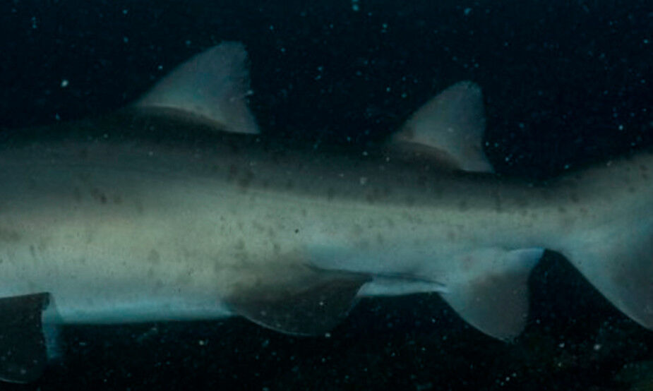 edb525ee-179b-457b-b504-891236562908