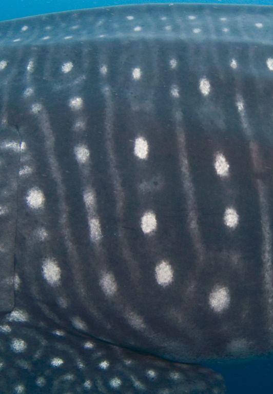 275172f1-0e12-485d-b429-40b203a5e8f7