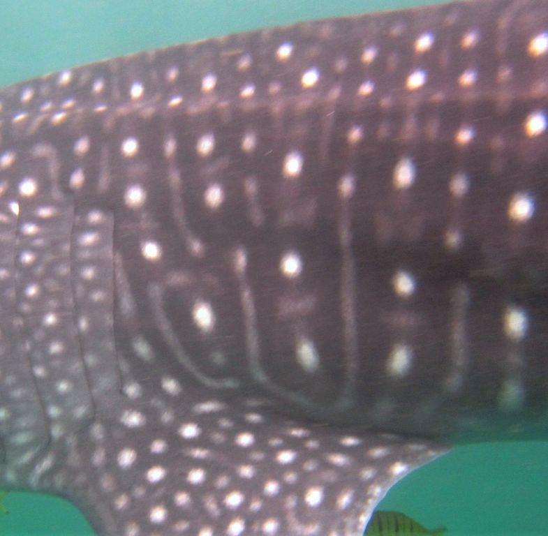 8413ea74-8f4e-446f-aebe-4718f6253143