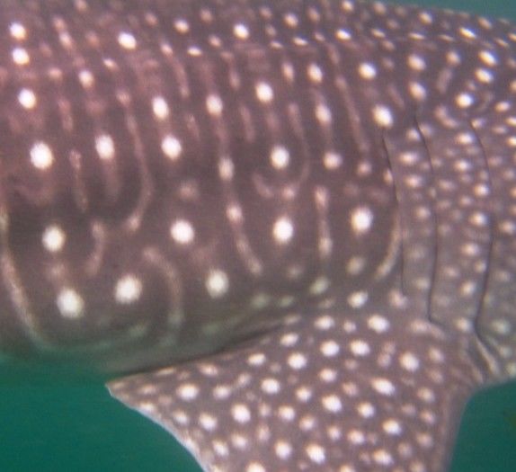 8413ea74-8f4e-446f-aebe-4718f6253143