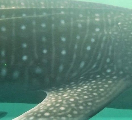 50835134-af83-496f-9ec3-9ae7100474aa