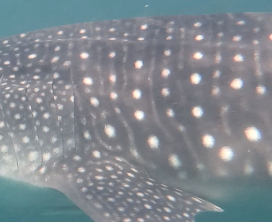 a00aafb3-4aa4-4853-96c0-9936750893b8