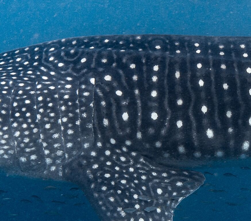 06f3d750-9243-4c33-85d6-e7a390c9c5c2