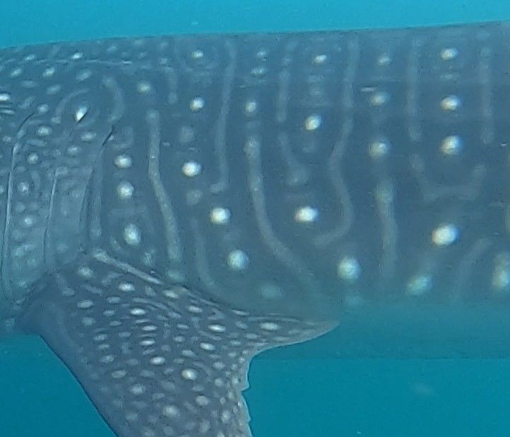 4ef3bcee-d903-4356-9cfc-5a56345f7595