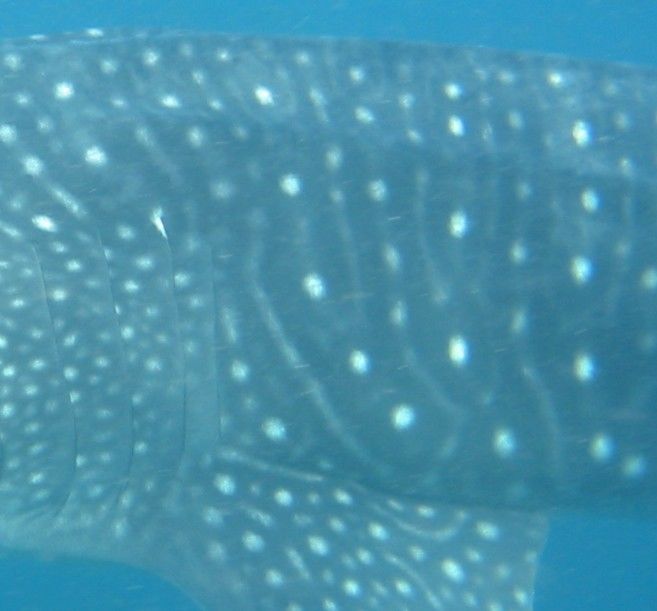 f6b588a3-bad4-4c76-a982-7e47f97bd8a6