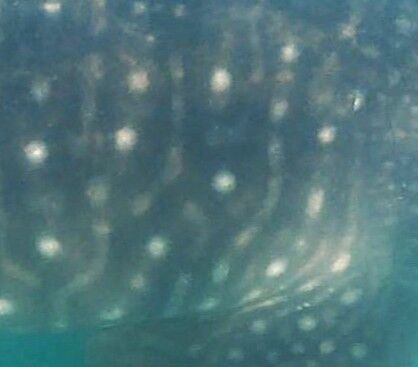 ba5e06ac-d097-4852-a20b-4e13fbff1026