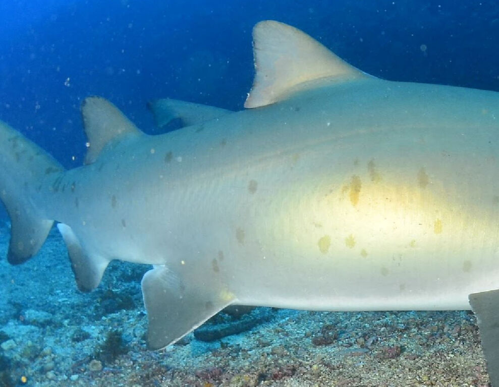 812ac54e-caea-4ea3-acdc-1cb1c2851696