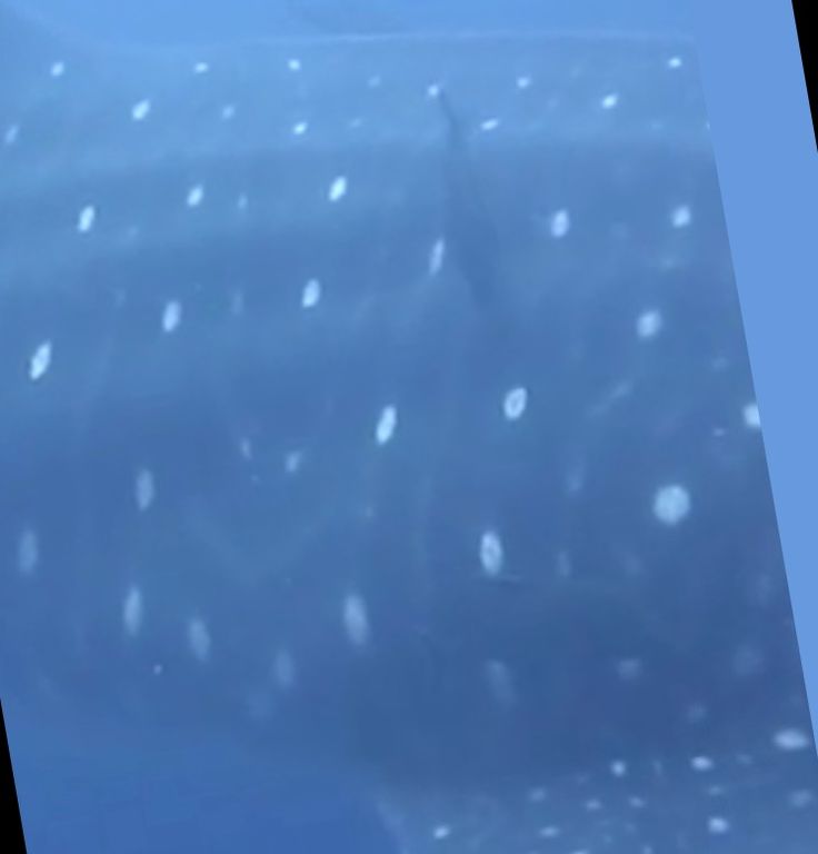 72ecda80-4a77-483c-a838-6a09edc5c5b9