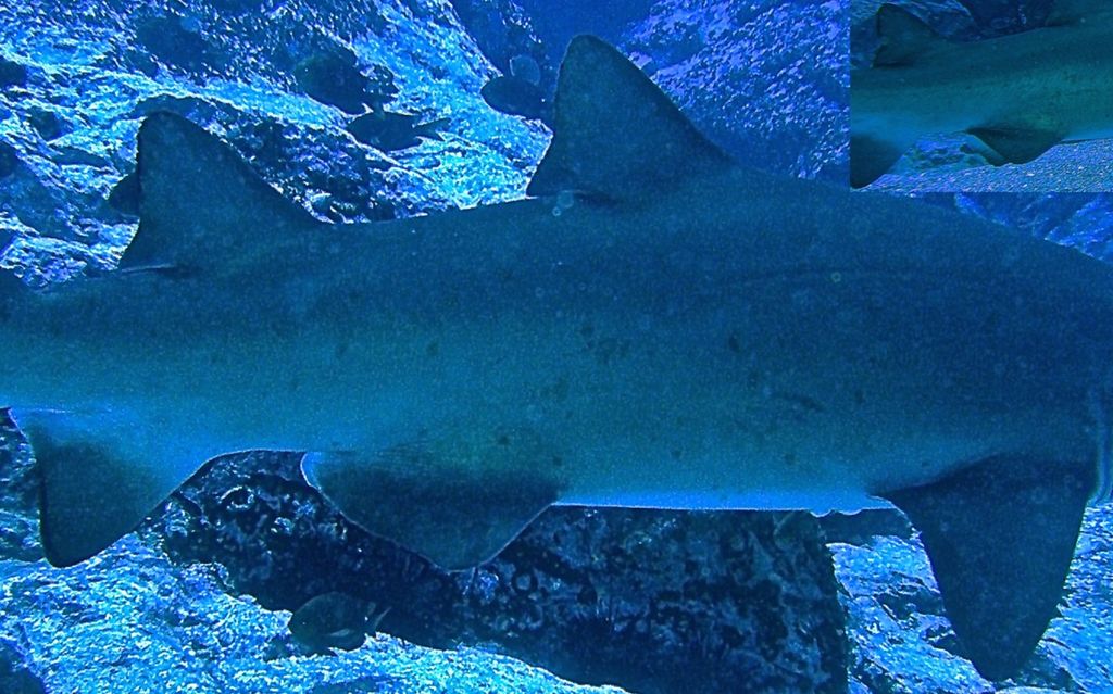 b3d20297-fb3d-4eae-8944-fe2c279609e4