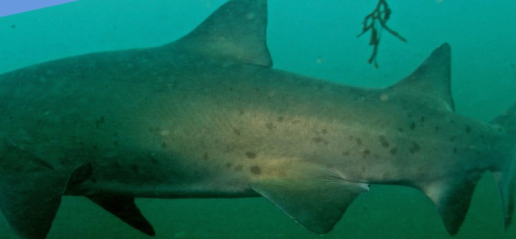 e6fa45be-6fe5-4971-9bc9-fd42bccf6322