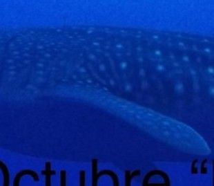 37f94ceb-0cc6-4013-91ce-0dfe88348861