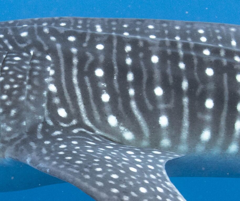 5de5983e-58d2-4c82-b712-13b2dd76a282