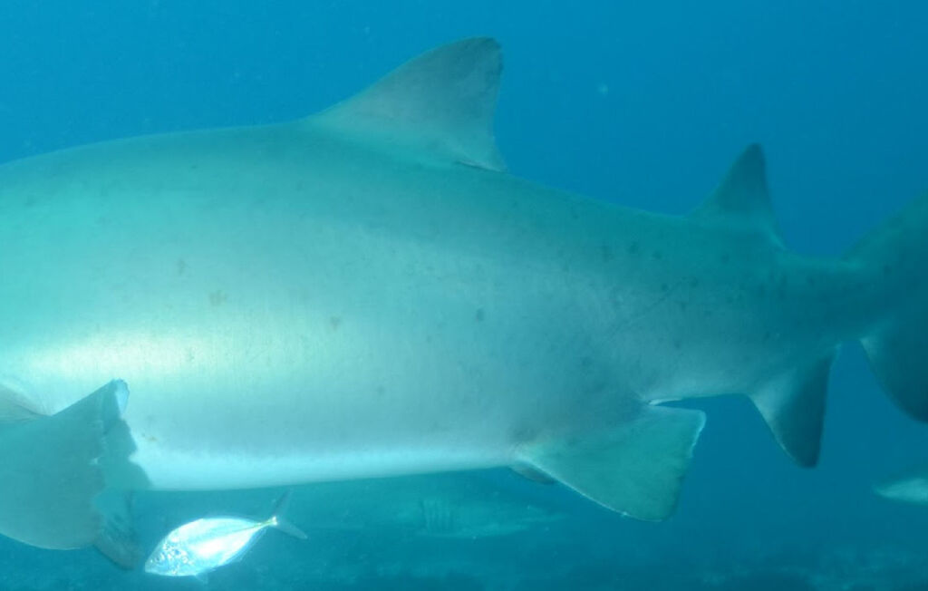 29309efc-9efc-41c3-9460-843be4175c27