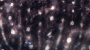 dd3336ee-4c69-4155-bdab-e6a3f1139b74