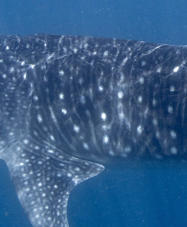 54aac2c7-9429-440e-b920-d53de1402993