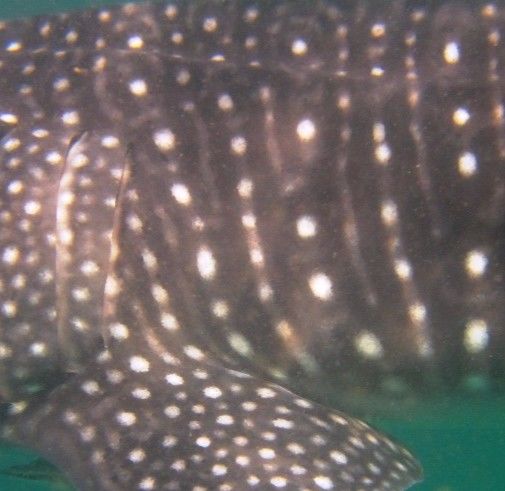 d2700546-54ae-478d-a997-7460e54e64c5