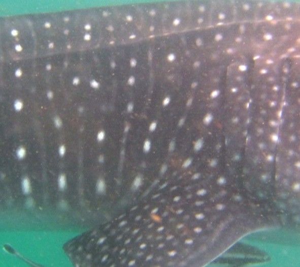 d2700546-54ae-478d-a997-7460e54e64c5