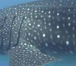 3c06715c-7ea8-4eef-a765-5325502bb767