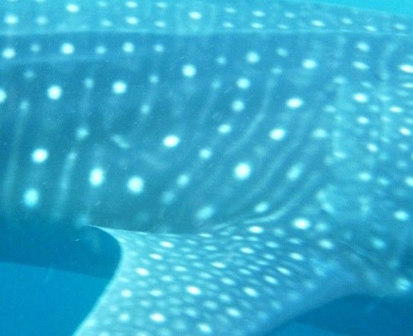 e4d41478-a058-47aa-a900-b3e7bee789fc